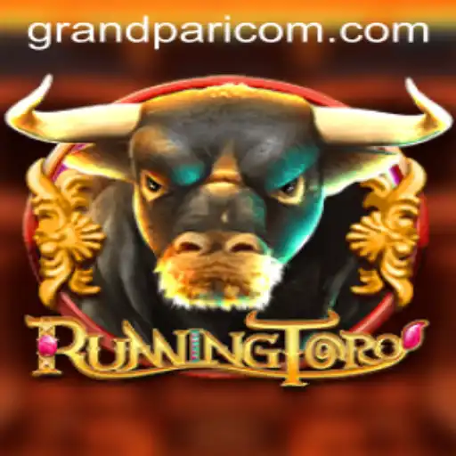 RunningToro: An Engaging Adventure Game Experience